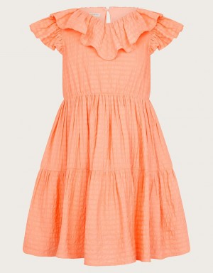 Orange Kids' Monsoon Woven Ruffle Dress | GIG-8407