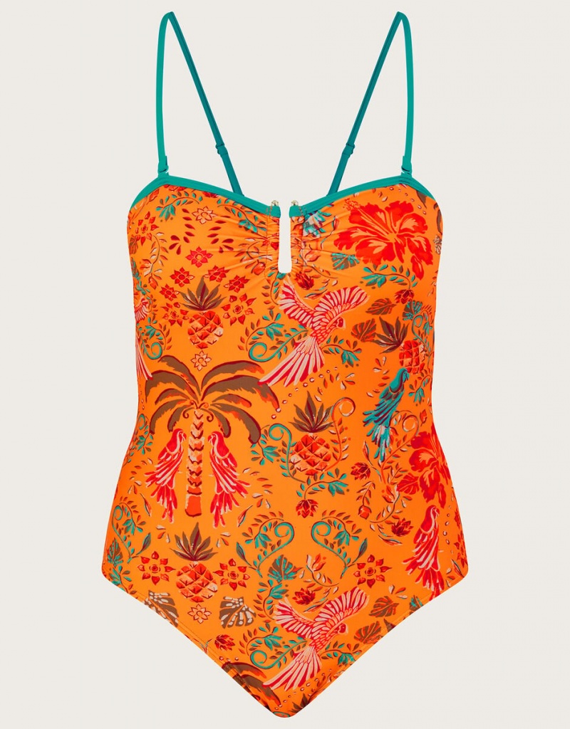 Orange Women's Monsoon Palm Print Swimsuit in Recycled Polyester Orange Swimwear | TJX-2830